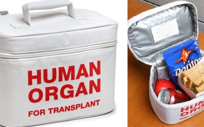 Tas Pendingin satu ini bisa menjaga makanan kamu tetap stabil