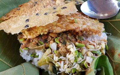 Ide Usaha Sampingan Karyawan